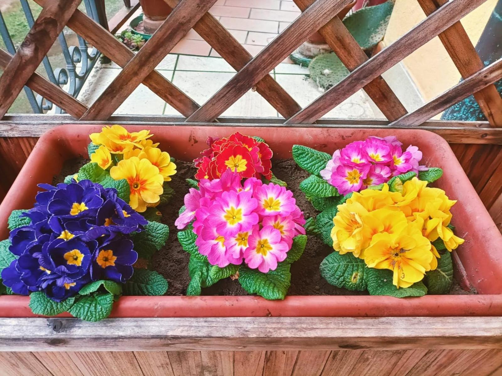 Le Colline Di Maggiora B&B 외부 사진
