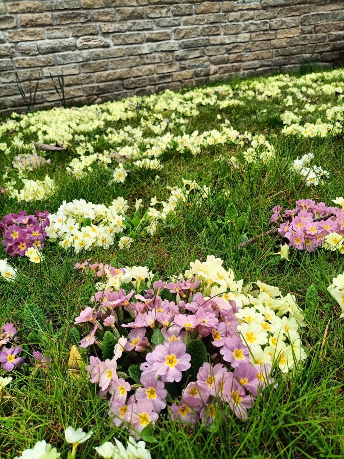 Le Colline Di Maggiora B&B 외부 사진