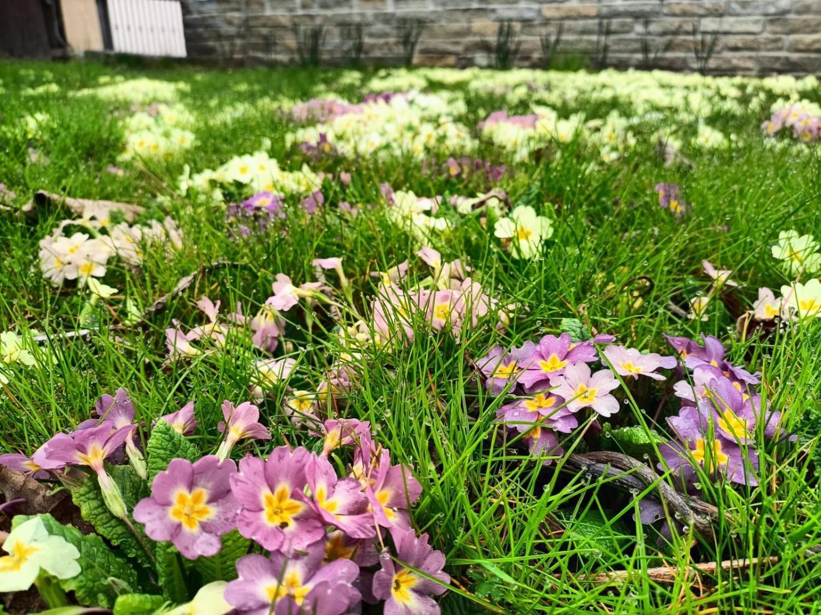 Le Colline Di Maggiora B&B 외부 사진